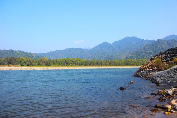 Manas National Park Safari, Lunch with pick up from Guwahati - Exploring Manas National Park Safari & Lunch from Guwahati: A Practical Guide