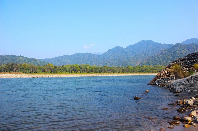 Manas National Park Safari, Lunch with pick up from Guwahati - Who Is This Tour Best For?