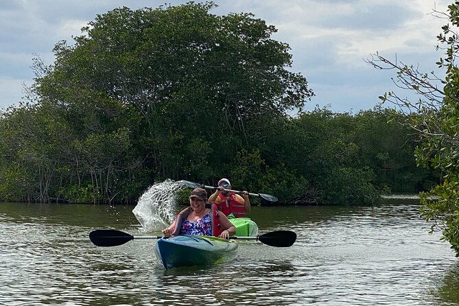 manatee-and-dolphin-kayak-tour