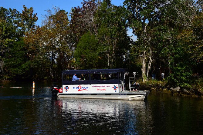 manatee-snorkel-tour-small-group