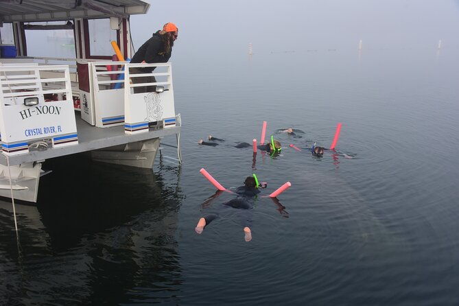 manatee-snorkel-tour-small-group