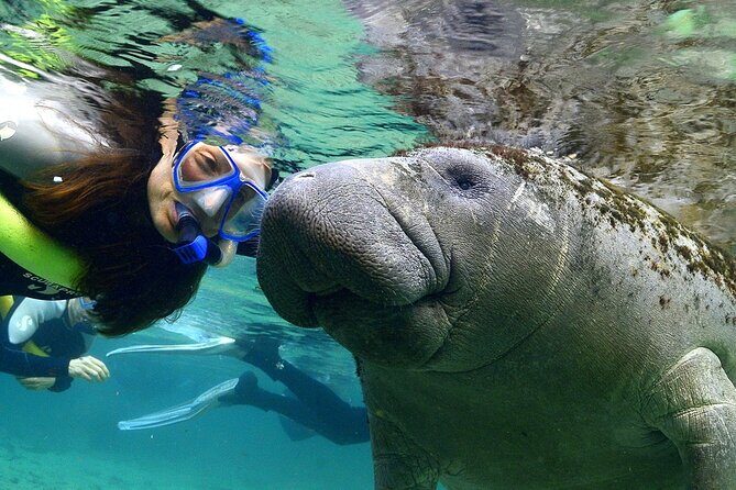 Manatee Swim and Wildlife Park with Upgrade Options from Orlando - An In-Depth Look at This Orlando Wildlife Tour
