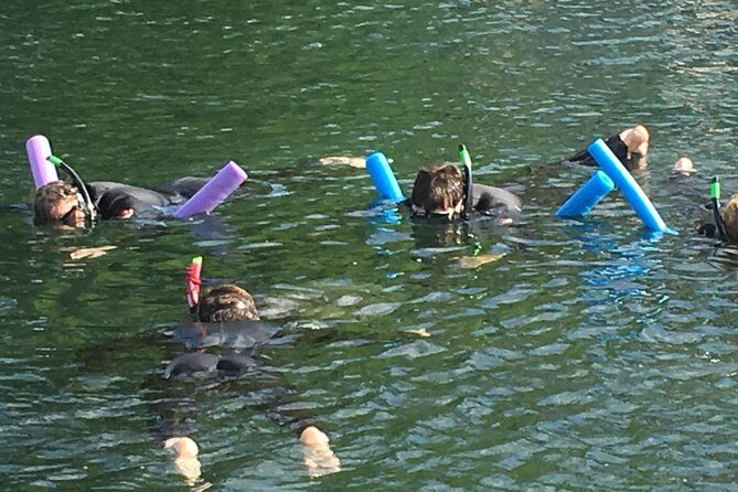 Manatee Swim and Wildlife Park with Upgrade Options from Orlando - Who Should Consider This Tour?