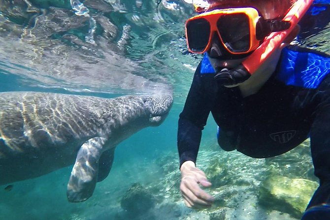 manatee-swim-tour-with-in-water-photographer