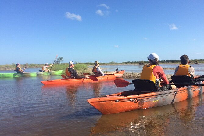manatees-grasslands-and-mangroves-kayak-tour-small-group-tour
