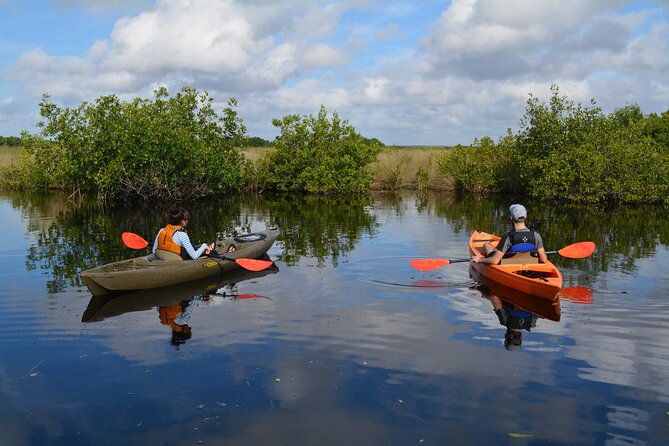 manatees-grasslands-and-mangroves-kayak-tour-small-group-tour