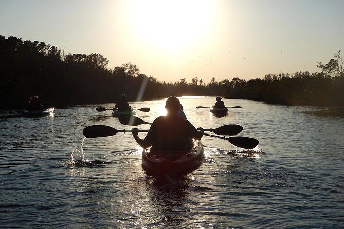 Manatees/Sunset/Bioluminescence Tour - Key Points  