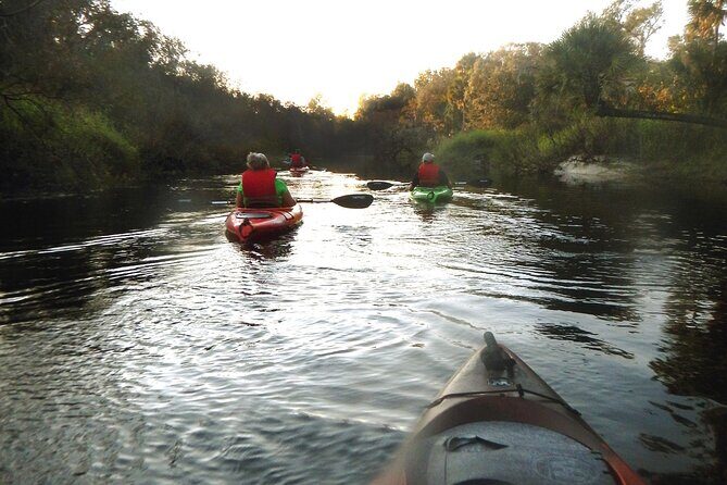 Manatees/Sunset/Bioluminescence Tour - Who’s This Tour For?  