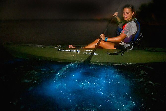 Manatees/Sunset/Bioluminescence Tour - Final Thoughts  
