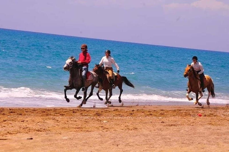 Manavgat Side: Horse Riding on the Beach and in the Forest - Who Should Consider This Tour?