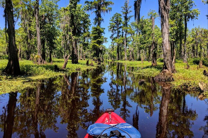 manchac-swamp-kayak-tour-for-experienced-kayakers-with-pickup-2