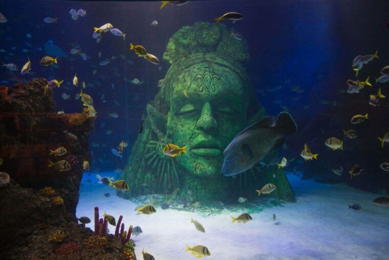 manchester-sea-life-entrance-ticket