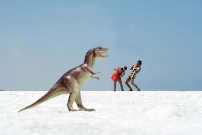 Mancora: Negrito White Desert - The little Uyuni - Salt Lake - What is the Negrito White Desert Tour?