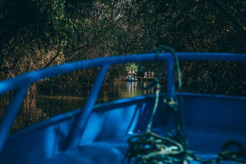 Mancora: Puerto Pizarro - Tour Mangrove Mysteries - How the Experience Adds Value