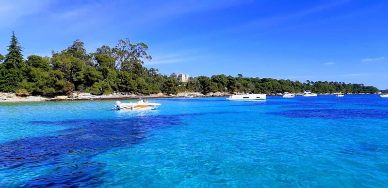 Mandelieu : Private boat tour to lérins island - Practical Considerations