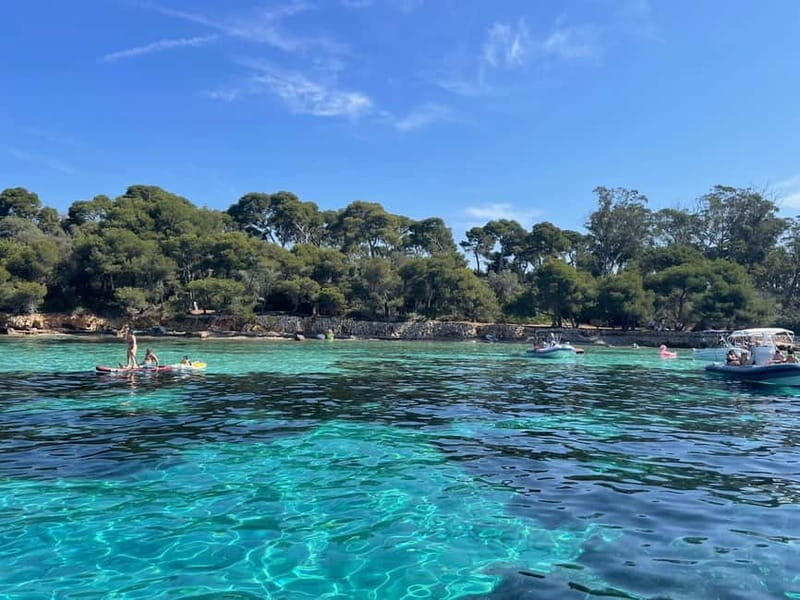 Mandelieu : Private boat tour to lérins island - Who Will Love This Experience?
