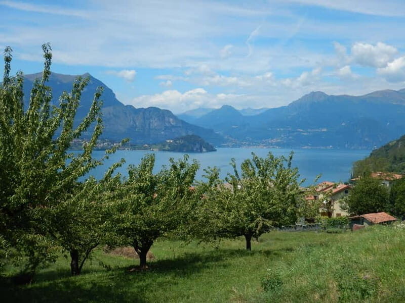 Mandello del Lario: Hike across hills and quaint hamlets - An Authentic Look at Mandello del Lario