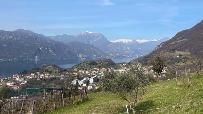 Mandello del Lario: Hike across hills and quaint hamlets - What Makes This Tour Special