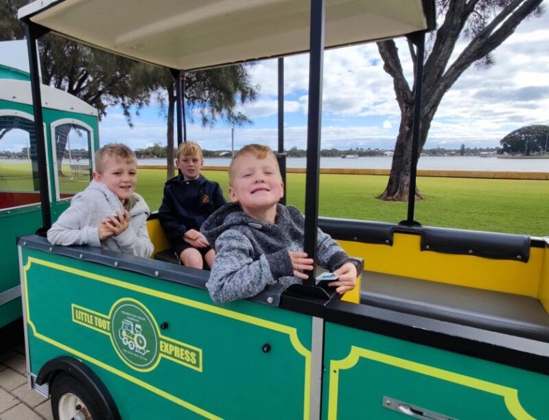Mandjar Bay - Mini Toot - What Makes the Mini Toot Stand Out?