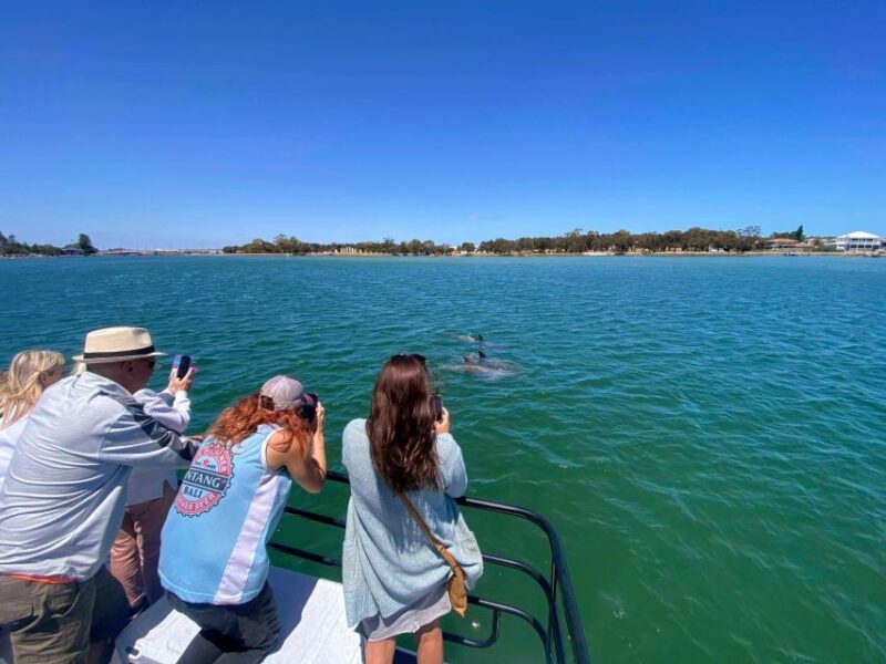 Mandurah: Sightseeing Dolphin Cruise with Tour Guide - Key Points