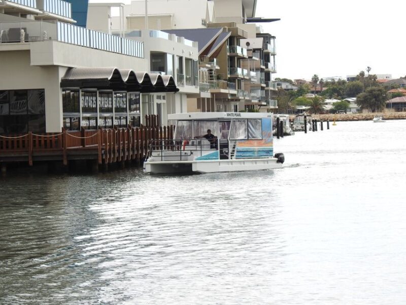 Mandurah: Sightseeing Dolphin Cruise with Tour Guide - An In-Depth Look at the Mandurah Dolphin Cruise