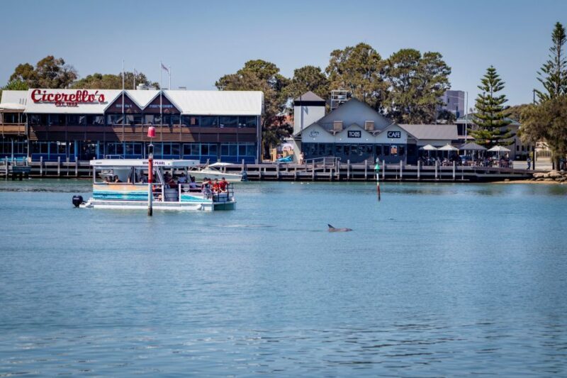 Mandurah: Sightseeing Dolphin Cruise with Tour Guide - FAQs