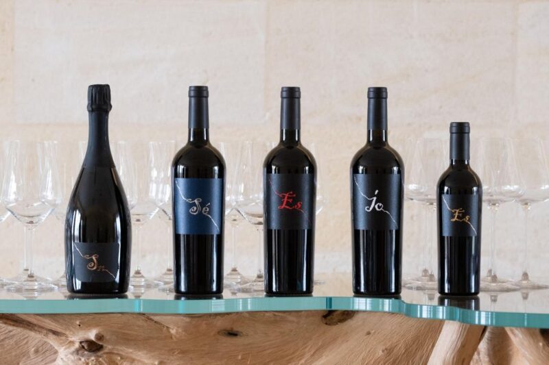 Manduria: Wine tasting & Finger Food - The Itinerary: What You Can Expect from This Wine Experience