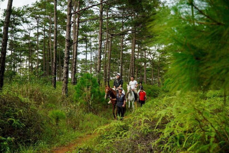 Mang Den: Horse Riding Tour with Drinks & Pickup - Frequently Asked Questions (FAQs)