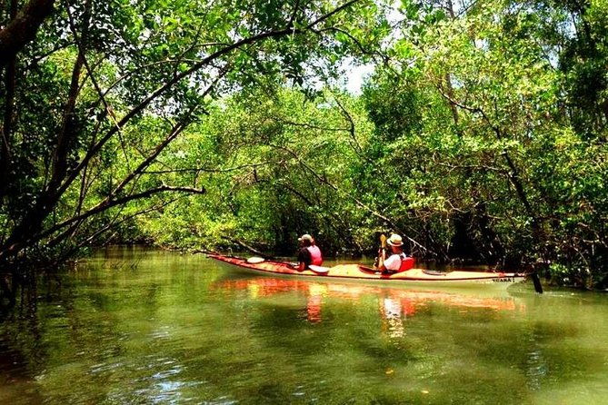 mangrove-and-beach-kayak-tour-by-paraty-tours