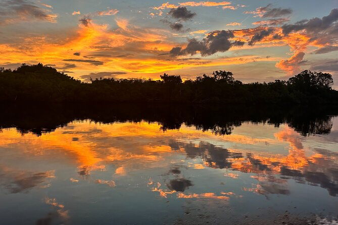 mangrove-and-gulf-excursion-tour