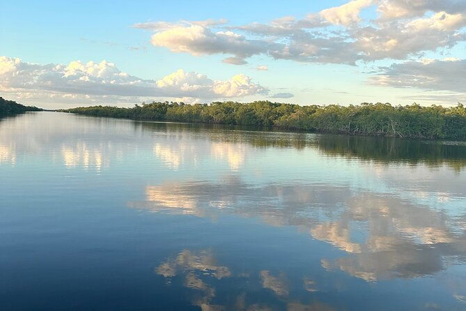 mangrove-and-gulf-excursion-tour