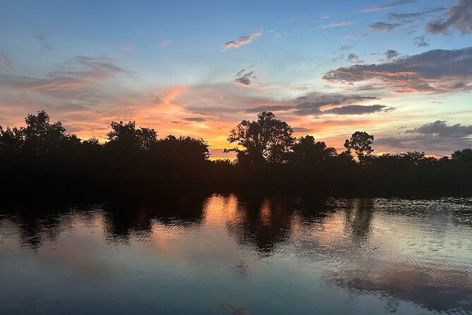 mangrove-and-gulf-excursion-tour