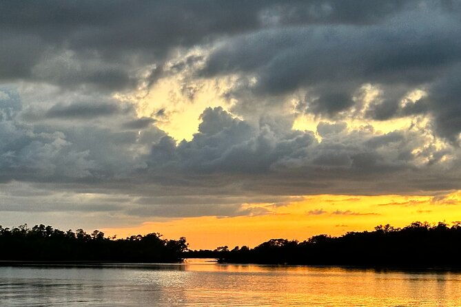 mangrove-and-gulf-excursion-tour