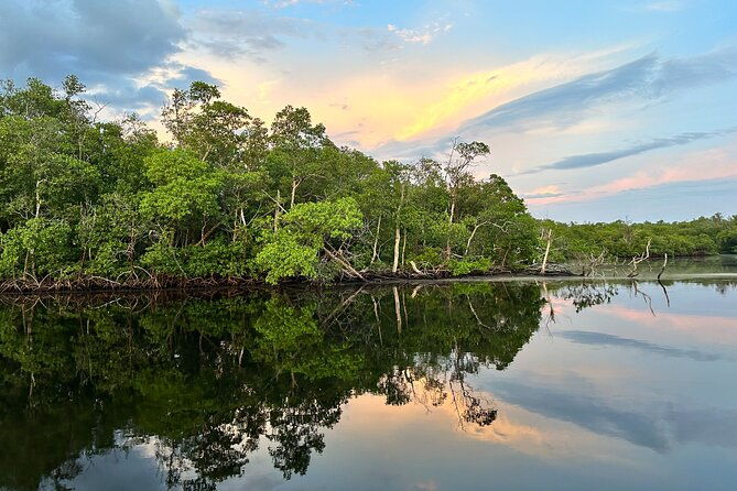 mangrove-and-gulf-excursion-tour