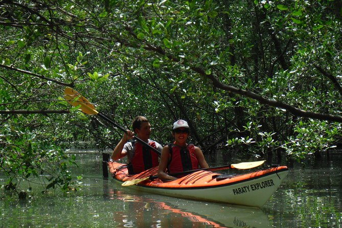 mangrove-beaches-and-islands-by-kayak-tour
