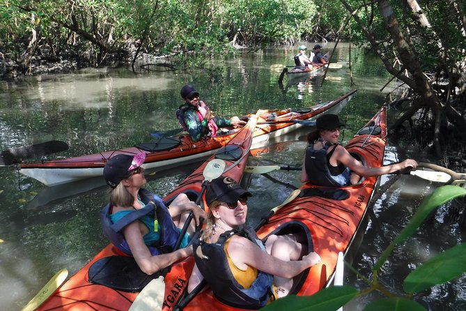 mangrove-beaches-and-islands-by-kayak-tour