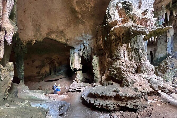 Mangrove Boat Tour in Krabi - Final Thoughts