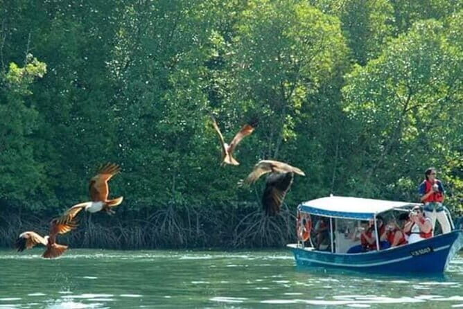 Mangrove Boat Tour Through Kilim Geo Forest Park Langkawi - Final Thoughts