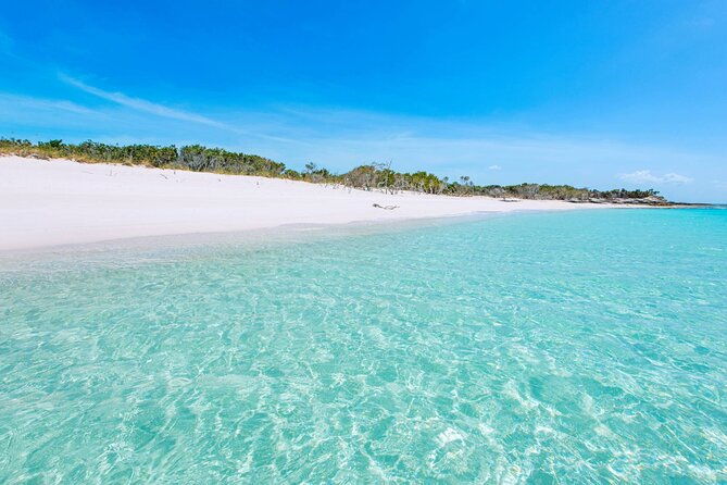 mangrove-cay-and-iguana-island-tours