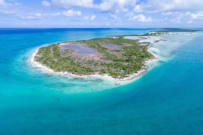 mangrove-cay-and-iguana-island-tours