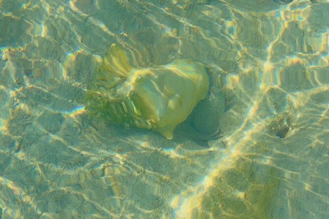 mangrove-cay-and-iguana-island-venture-in-turks-and-caicos-island