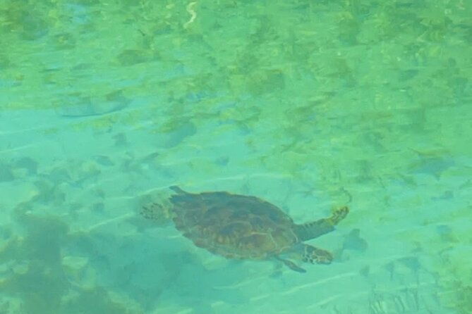 mangrove-cay-and-iguana-island-venture-in-turks-and-caicos-island