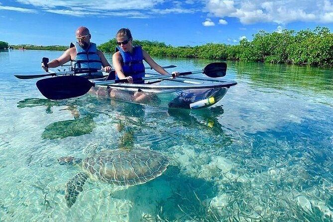 mangrove-cay-tour