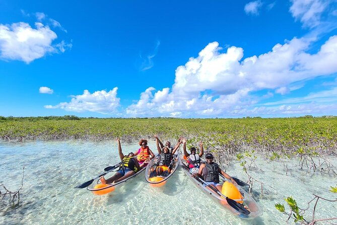 mangrove-clear-kayak-tour