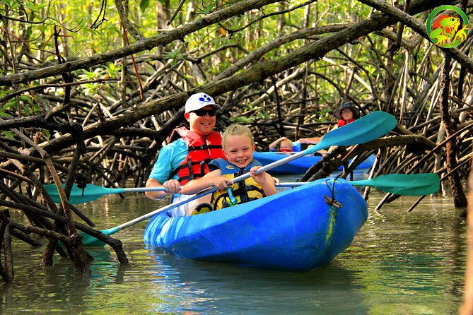 mangrove-damas-island-kayak-tours