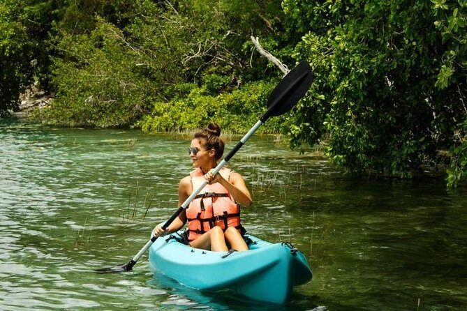 Mangrove Forest Bali Canoe Eco Tour - Who Will Appreciate This Tour?