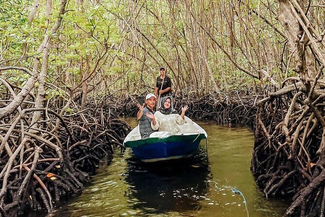 Mangrove Forest by Boat, Kayaking, Stand Up Paddle at Lembongan - Key Points