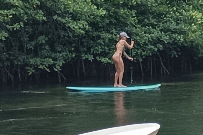 Mangrove Forest by Boat, Kayaking, Stand Up Paddle at Lembongan - The Sum Up: Who Is This Tour Best For?