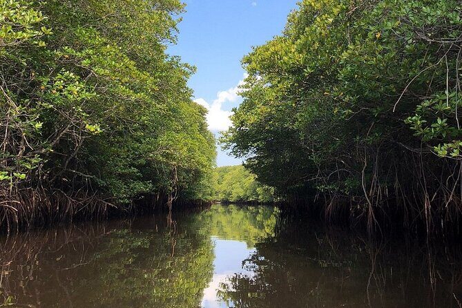 Mangrove Forest by Boat, Kayaking, Stand Up Paddle at Lembongan - FAQ