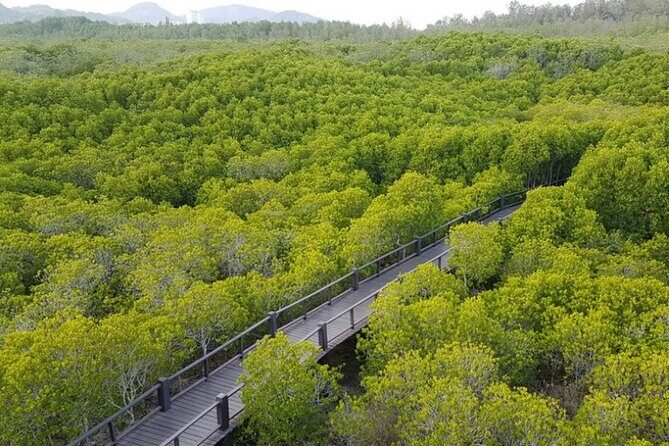 Mangrove Forest Hike and River Boat Ride with Private Guide from Hua Hin - The River Boat Ride: Sights and Sound of Nature